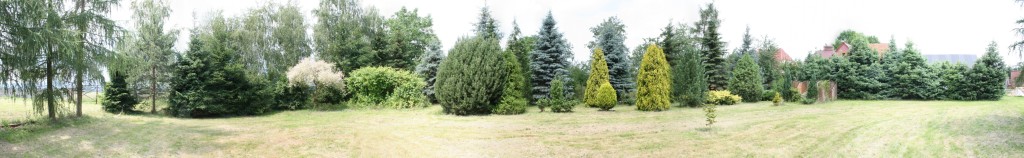 panorama-teren-zielony